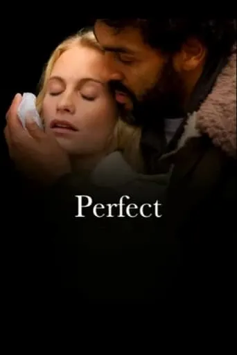 Perfect movie poster - Rated 5.2/10