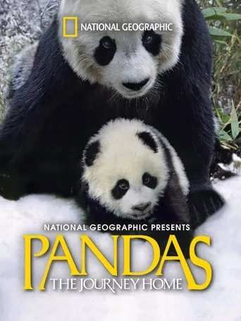 Pandas: The Journey Home movie poster - Rated 8.1/10