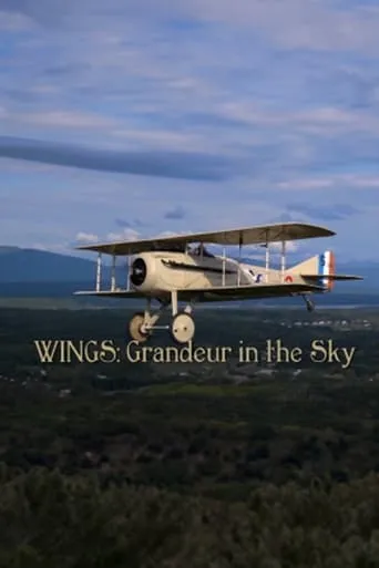 Wings: Grandeur in the Sky movie poster - Rated 7/10