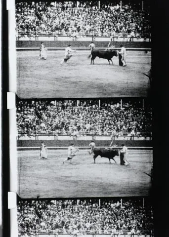 Corrida movie poster - Rated 4/10