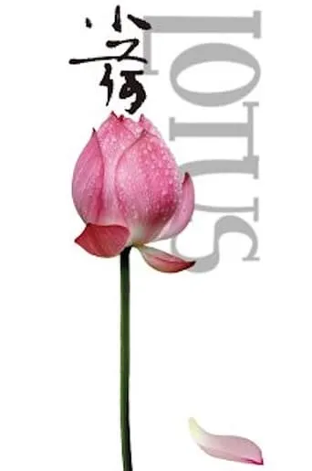 Lotus movie poster - Rated 5/10