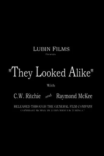 They Looked Alike movie poster - Rated 4.5/10
