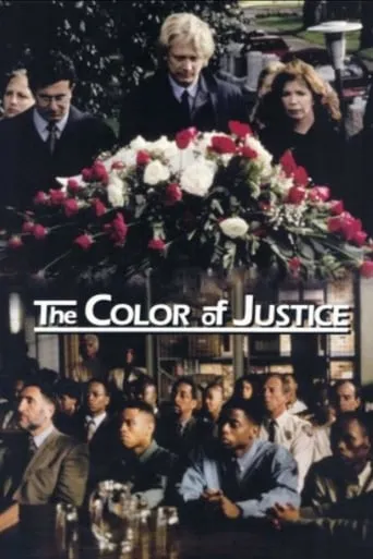 Color of Justice movie poster - Rated 4.8/10