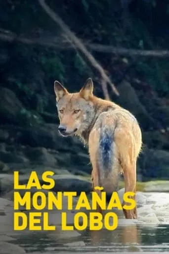 Mountains of the Wolf movie poster - Rated 8.3/10
