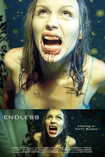 Endless movie poster - Rated 4.3/10