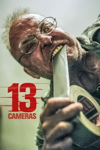13 Cameras movie poster - Rated 5/10