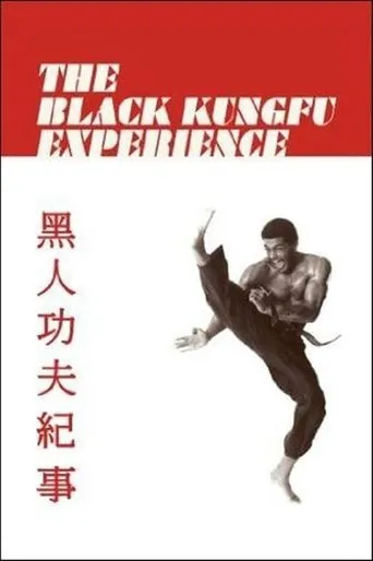 The Black Kung Fu Experience movie poster - Rated 4.8/10