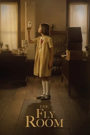 The Fly Room movie poster - Rated 5.7/10