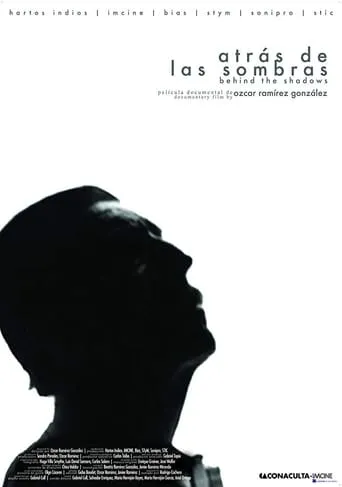In the Shadows movie poster - Rated 5/10