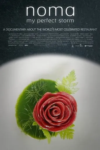 Noma: My Perfect Storm movie poster - Rated 6.3/10