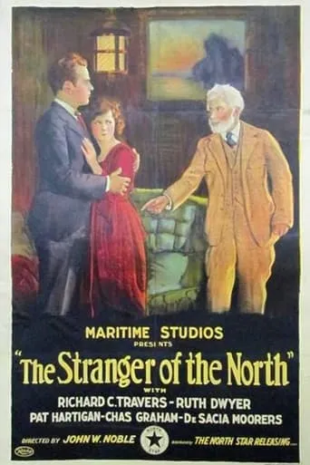 The Stranger Of The North movie poster - Entertainment content