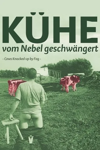 Cows Knocked Up by Fog movie poster - Entertainment content