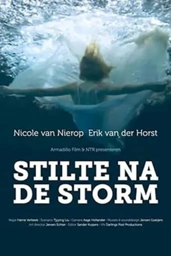 Stilte na de storm movie poster - Entertainment content