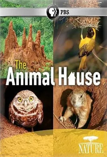The Animal House movie poster - Rated 5/10
