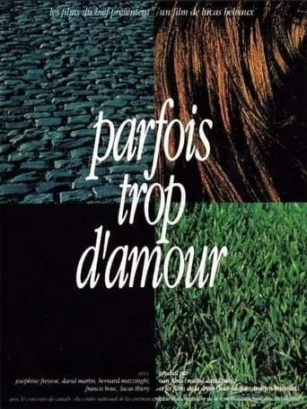 Parfois trop d'amour movie poster - Entertainment content