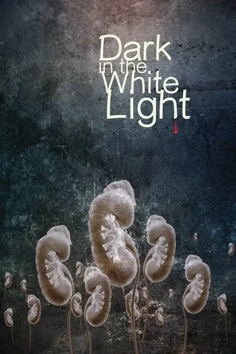 Dark in the White Light movie poster - Rated 2/10