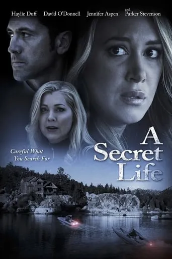 His Secret Family movie poster - Rated 5/10