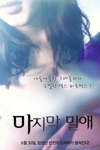 The Last Liaison movie poster - Entertainment content