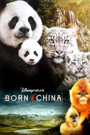 Born in China movie poster - Rated 7.308/10