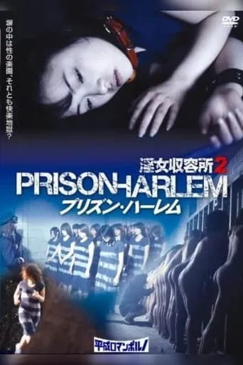 Injo Shuuyoujo 2: Prison Harlem movie poster - Entertainment content