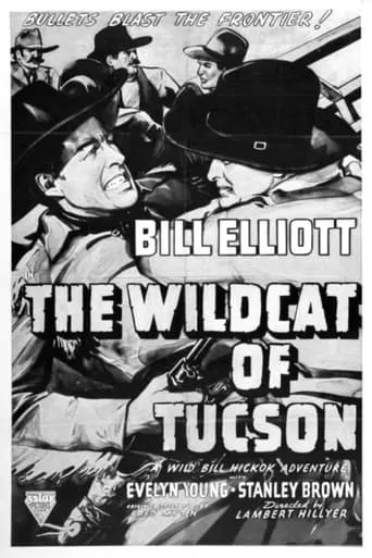 The Wildcat of Tucson movie poster - Entertainment content