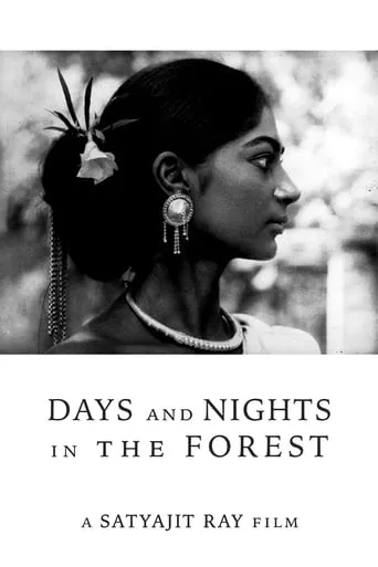 Days and Nights in the Forest movie poster - Rated 7.059/10