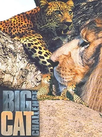 Big Cat Challenge movie poster - Entertainment content