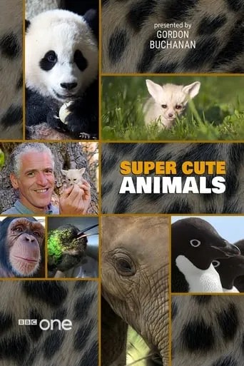 Super Cute Animals movie poster - Rated 7.7/10