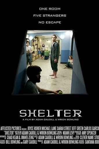 Shelter movie poster - Rated 5/10