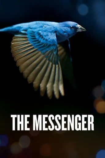 The Messenger movie poster - Rated 7.65/10