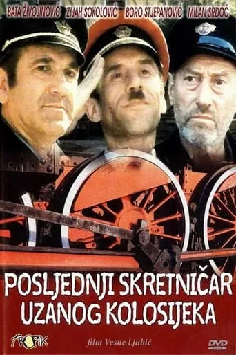 The Last Switchman of the Narrow Gauge Railway movie poster - Rated 4.8/10