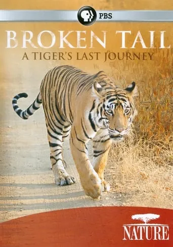Broken Tail: A Tiger's Last Journey movie poster - Entertainment content