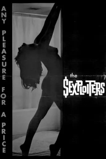 The Sexploiters movie poster - Rated 4/10