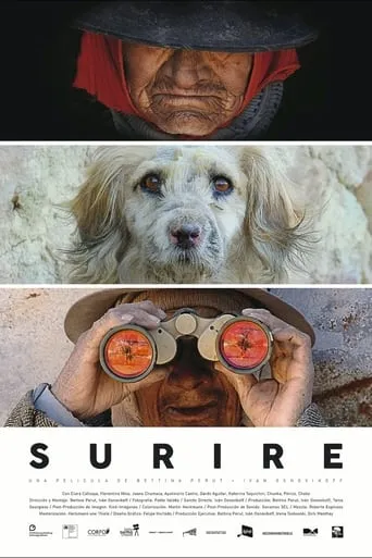 Surire movie poster - Rated 7.5/10