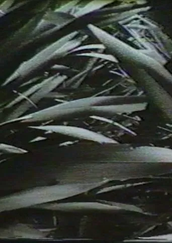 Sensation '77: Mimicry movie poster - Entertainment content