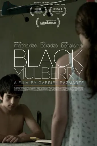 Black Mulberry movie poster - Rated 6.5/10