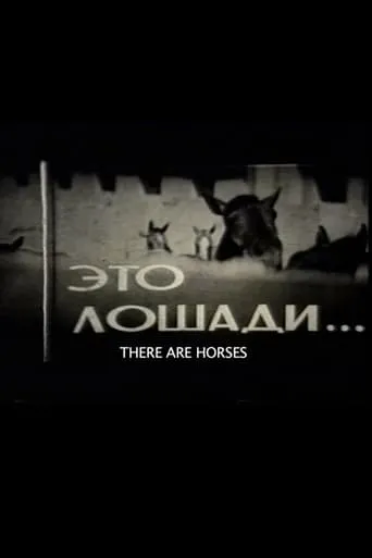 There Are Horses movie poster - Rated 8/10