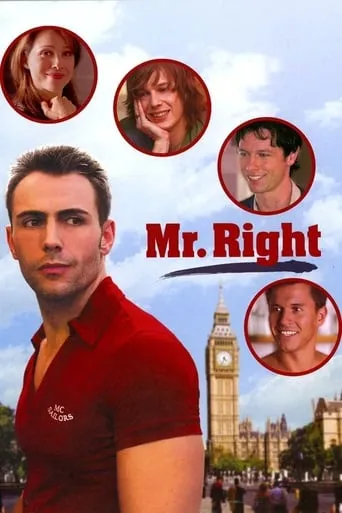 Mr. Right movie poster - Rated 4.6/10