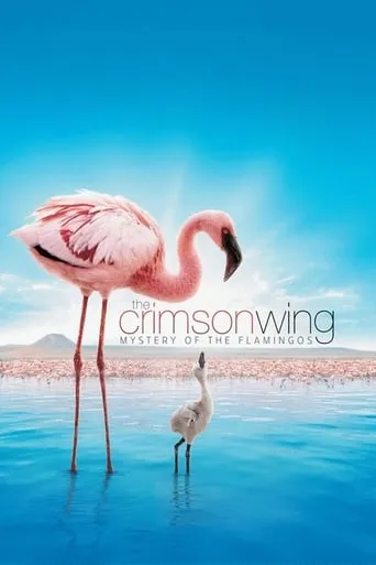 The Crimson Wing: Mystery of the Flamingos movie poster - Rated 7.2/10