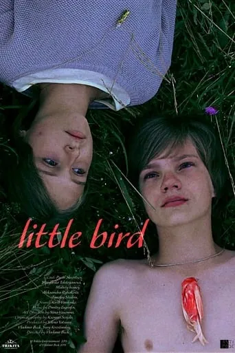 Little Bird movie poster - Rated 7/10