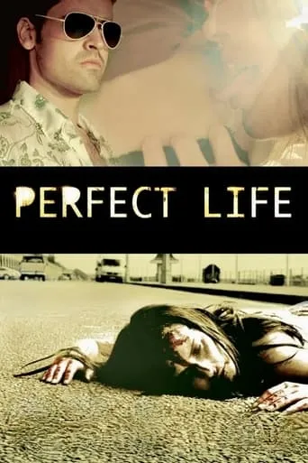 Perfect Life movie poster - Rated 3.2/10