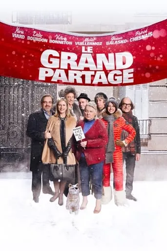 The Roommates Party movie poster - Rated 4.9/10