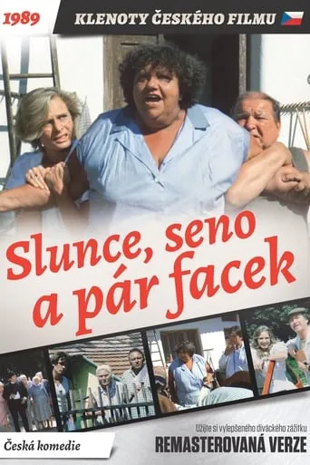 Sun, Hay and a Couple of Slaps movie poster - Rated 7.2/10