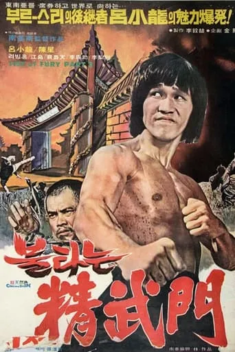 Bruce and Shaolin Kung Fu part 2 movie poster - Rated 4.3/10