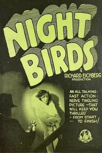 Night Birds movie poster - Rated 2/10