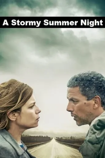 A Stormy Summer Night movie poster - Rated 4.4/10
