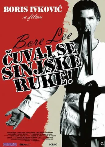 Bore Lee: Beware of the Sinj Hand movie poster - Rated 6.5/10