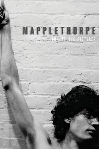 Mapplethorpe: Look at the Pictures movie poster - Rated 7/10