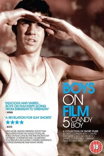 Boys On Film 5: Candy Boy movie poster - Rated 3/10