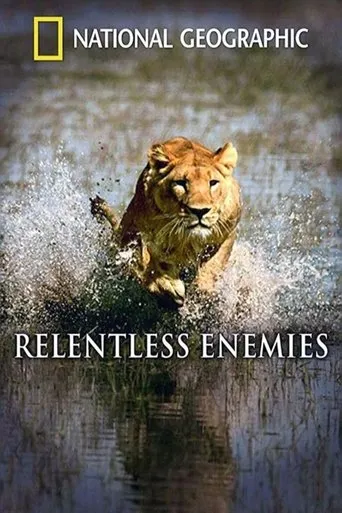 Relentless Enemies: Lions and Buffalo movie poster - Rated 7.8/10